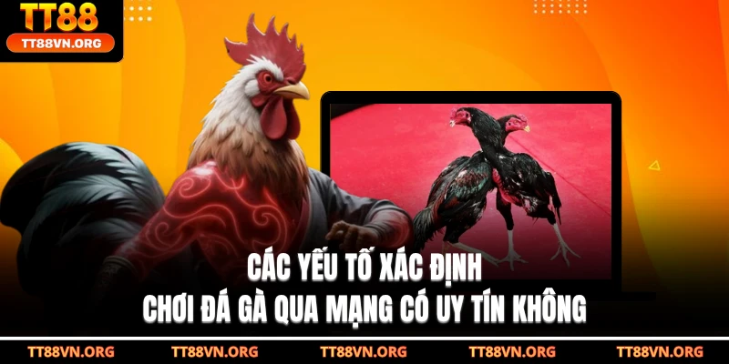 Các yếu tố xác định chơi đá gà qua mạng có uy tín không