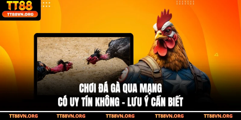 Chơi Đá Gà Qua Mạng Có Uy Tín Không - Lưu Ý Cần Biết