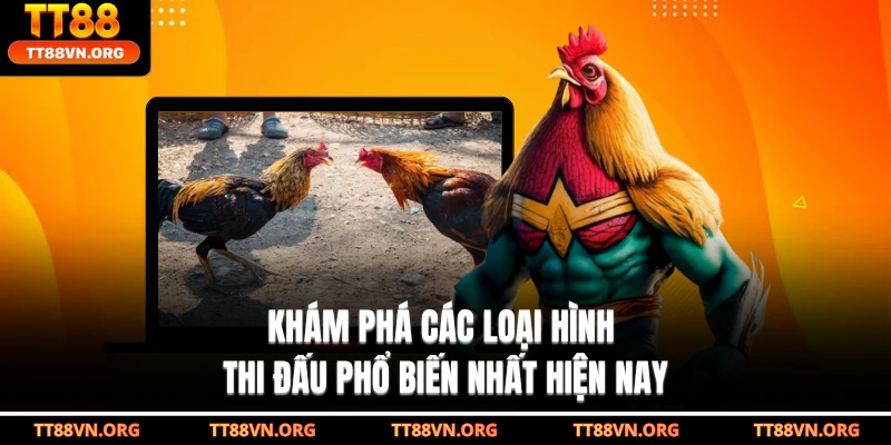 Khám phá các loại hình thi đấu phổ biến nhất hiện nay