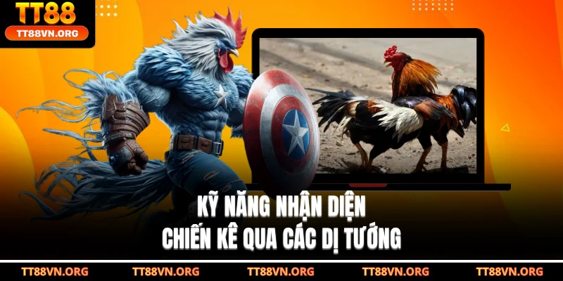 Kỹ năng nhận diện chiến kê qua các dị tướng