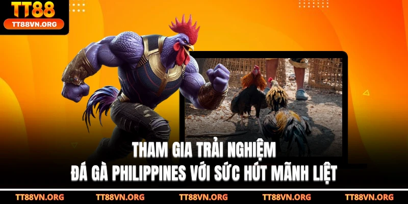 Tham gia trải nghiệm đá gà Philippines với sức hút mãnh liệt